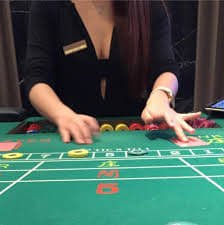Live Sic Bo dealer studio with three dice and betting layout
