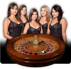 Wolf Gold live-dealer table on gyumin platform